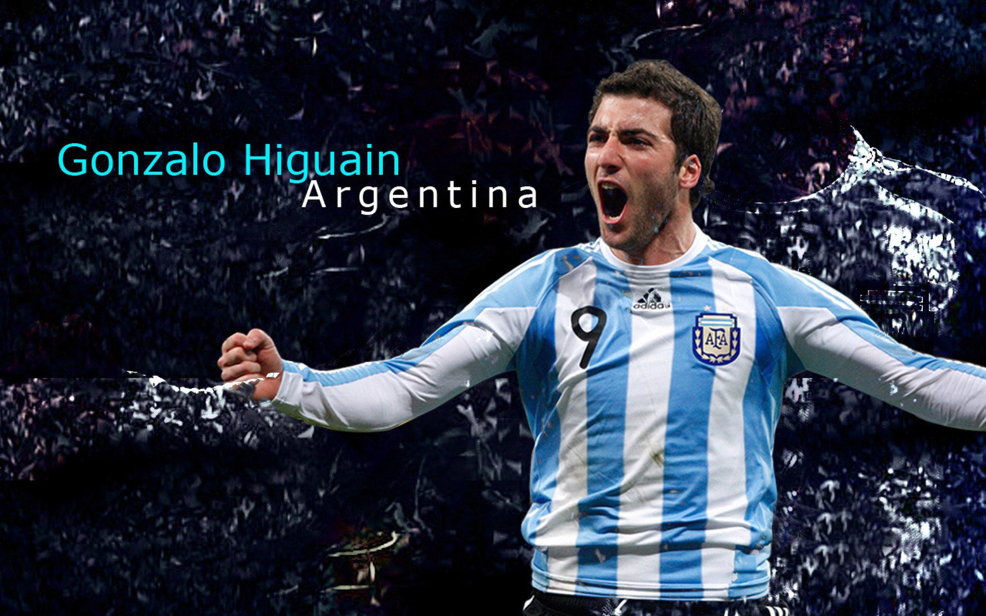 开云体育娱乐-葡萄牙马术协会推出马术运动员健康管理系统,关注运动员身心健康。