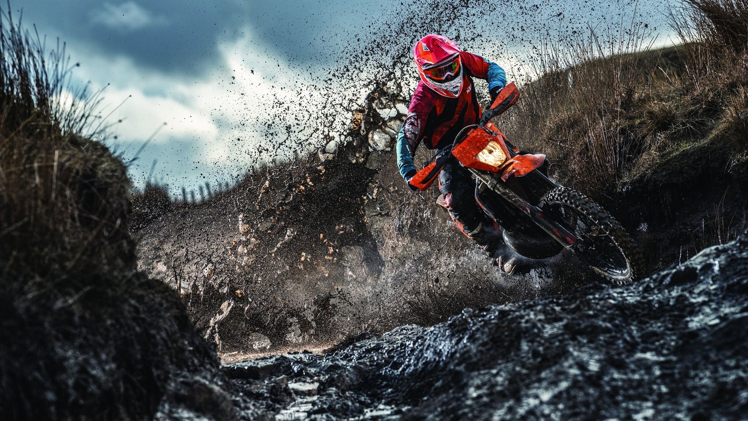 开云体育-葡萄牙马术协会推出马术运动员心理辅导项目,提升竞技表现。,葡萄牙马种